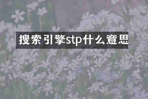 搜索引擎stp什么意思