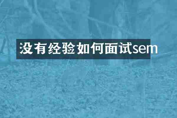 没有经验如何面试sem