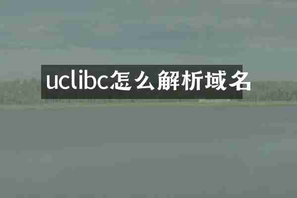 uclibc怎么解析域名