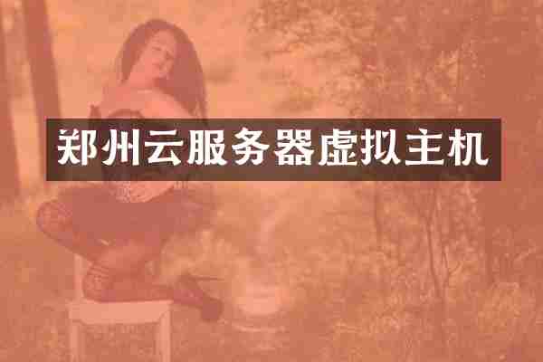 郑州云服务器虚拟主机