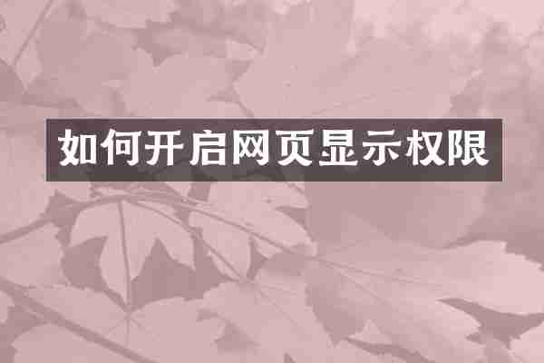 如何开启网页显示权限