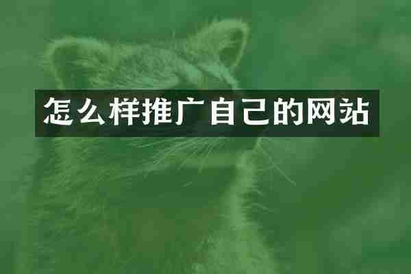 怎么样推广自己的网站