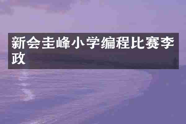 新会圭峰小学编程比赛李政