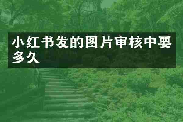 小红书发的图片审核中要多久