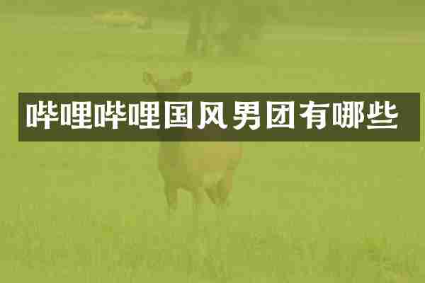 哔哩哔哩国风男团有哪些