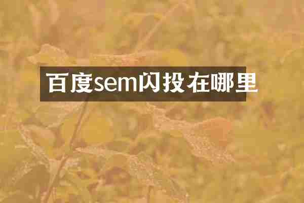 百度sem闪投在哪里