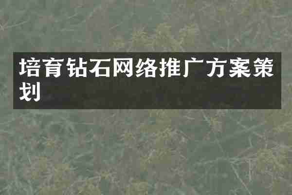 培育钻石网络推广方案策划