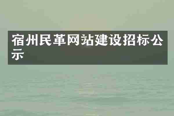 宿州民革网站建设招标公示