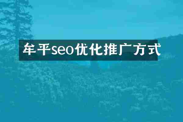 牟平seo优化推广方式