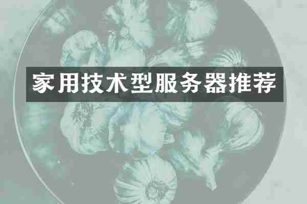 家用技术型服务器推荐