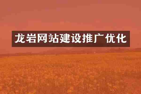 龙岩网站建设推广优化