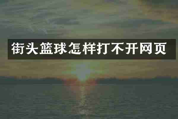 街头篮球怎样打不开网页
