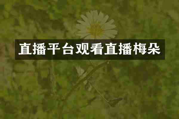 直播平台观看直播梅朵