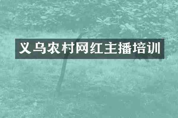 义乌农村网红主播培训