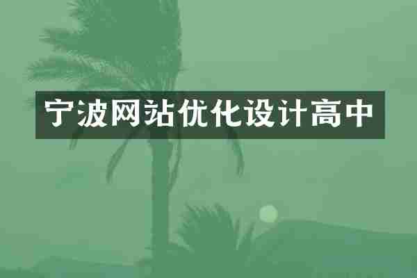 宁波网站优化设计高中