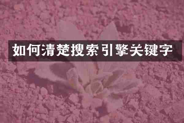 如何清楚搜索引擎关键字