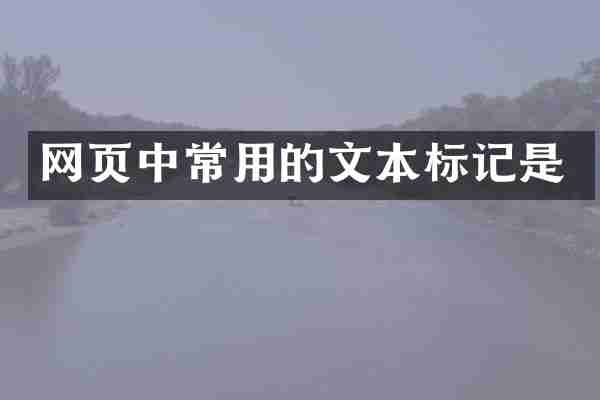 网页中常用的文本标记是