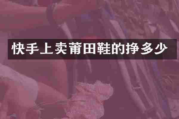 快手上卖莆田鞋的挣多少