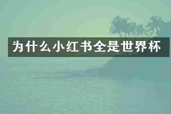 为什么小红书全是世界杯