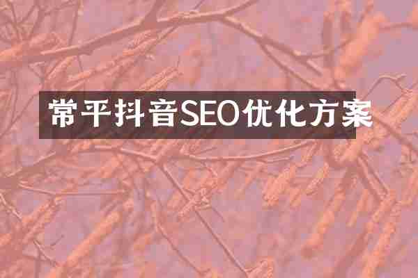 常平抖音SEO优化方案