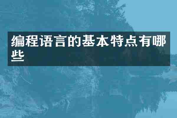 编程语言的基本特点有哪些
