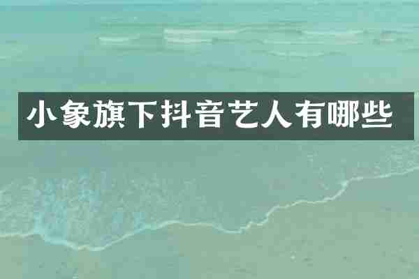 小象旗下抖音艺人有哪些