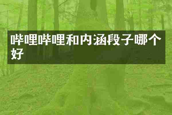 哔哩哔哩和内涵段子哪个好