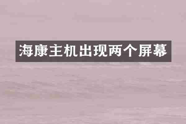 海康主机出现两个屏幕