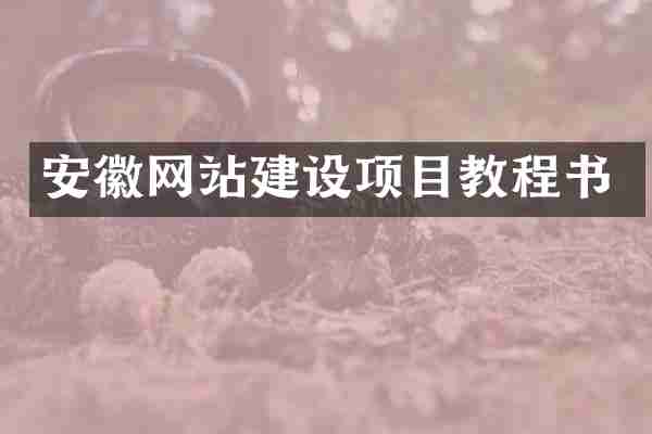 安徽网站建设项目教程书
