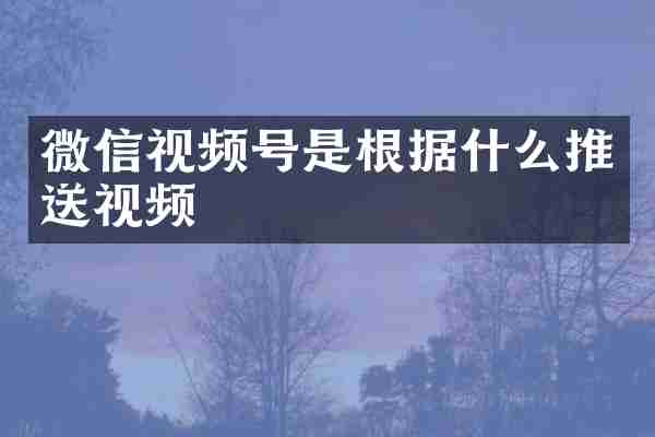 微信视频号是根据什么推送视频