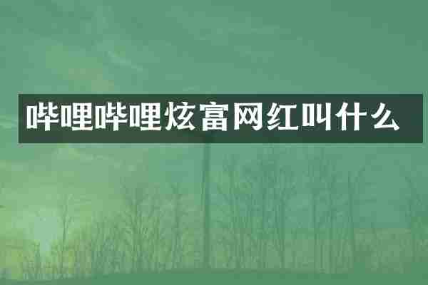哔哩哔哩炫富网红叫什么