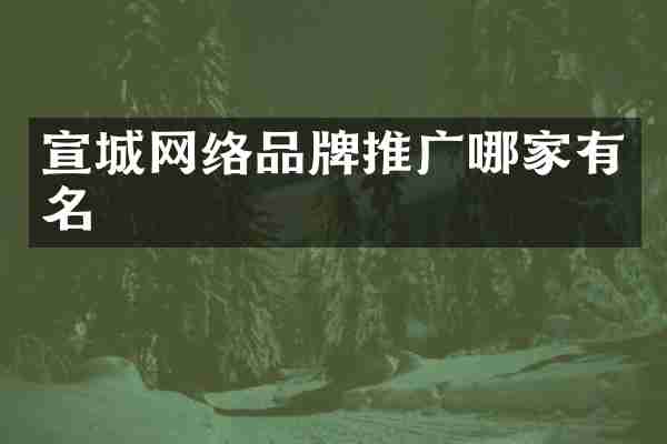 宣城网络品牌推广哪家有名