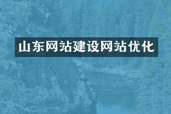 山东网站建设网站优化