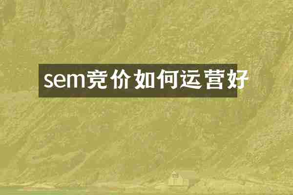 sem竞价如何运营好