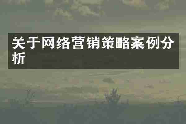 关于网络营销策略案例分析