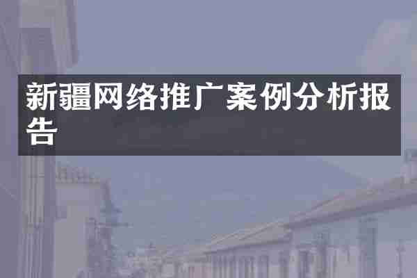 新疆网络推广案例分析报告