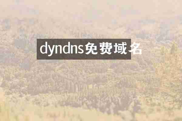 dyndns免费域名