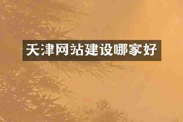 天津网站建设哪家好