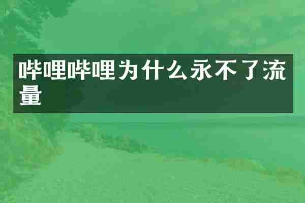 哔哩哔哩为什么永不了流量