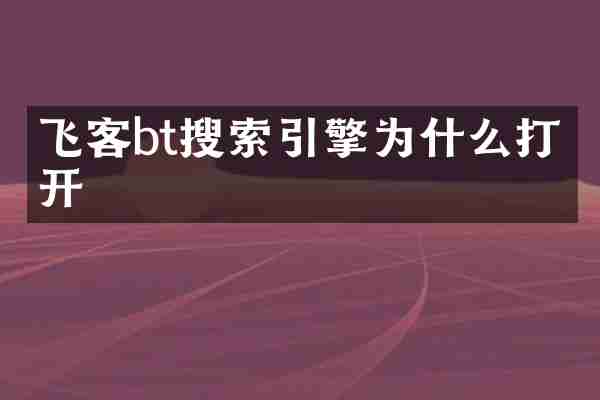 飞客bt搜索引擎为什么打不开