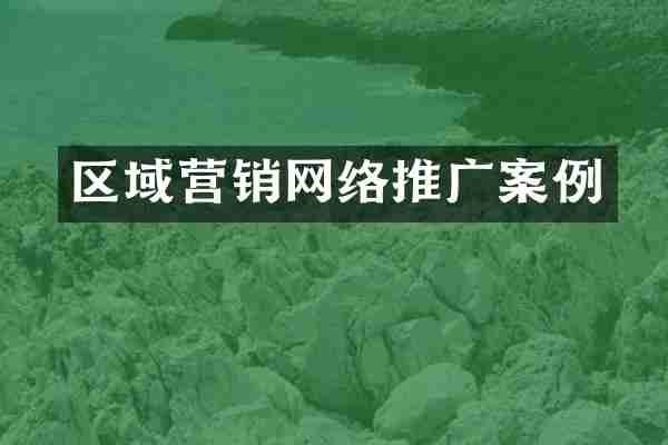区域营销网络推广案例
