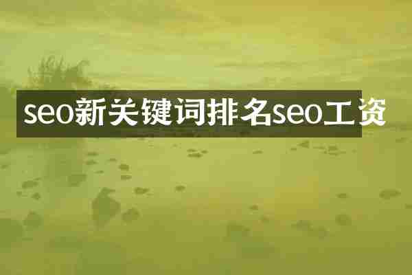 seo新关键词排名seo工资