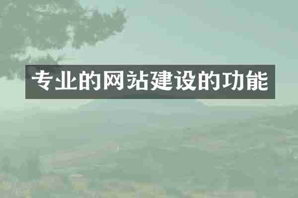 专业的网站建设的功能