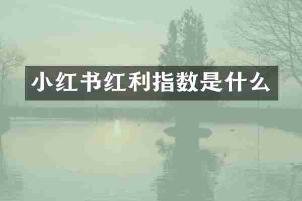 小红书红利指数是什么