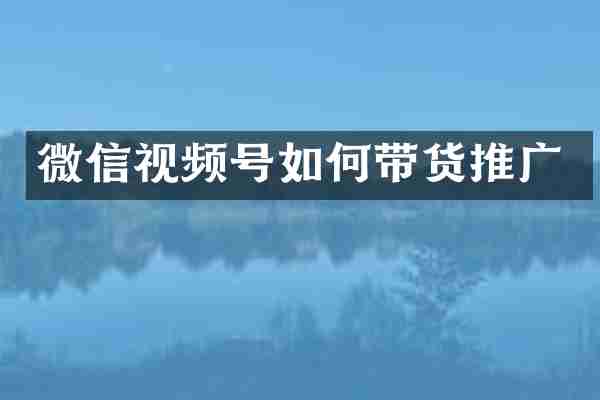 微信视频号如何带货推广