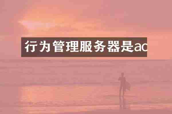 行为管理服务器是ac