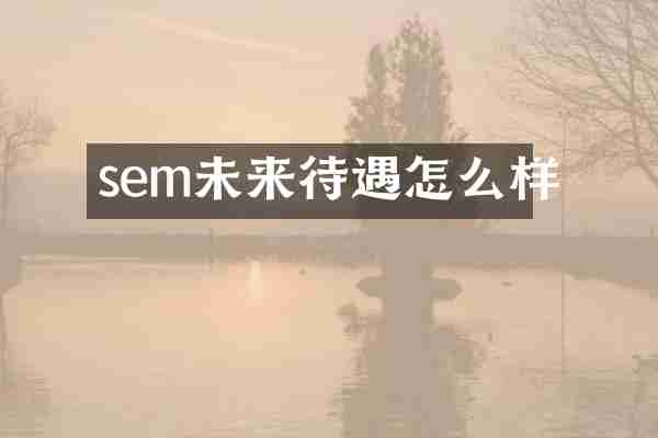 sem未来待遇怎么样