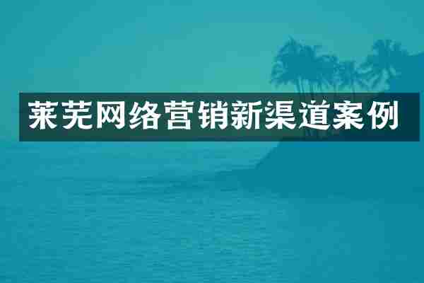 莱芜网络营销新渠道案例