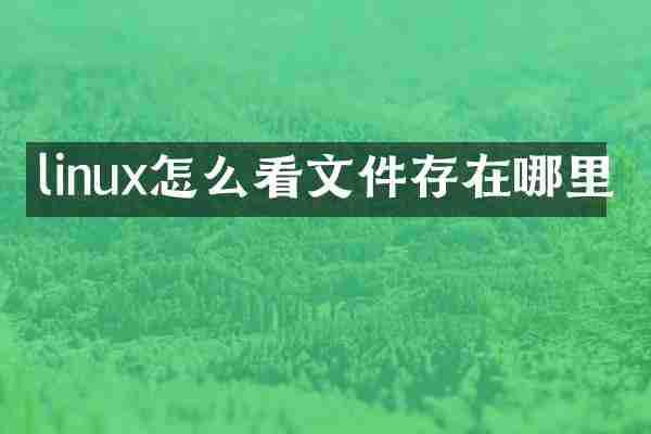 linux怎么看文件存在哪里