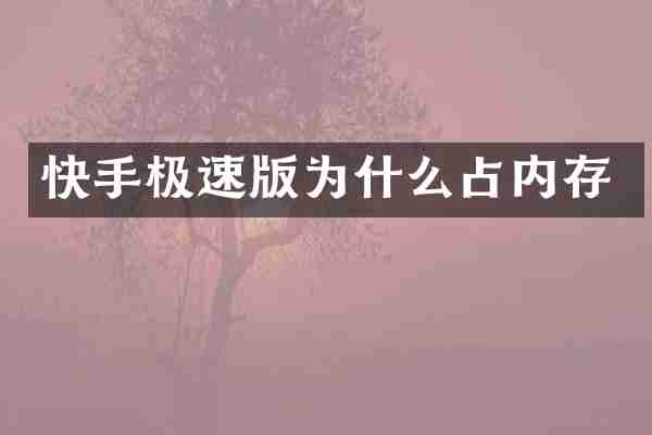 快手极速版为什么占内存